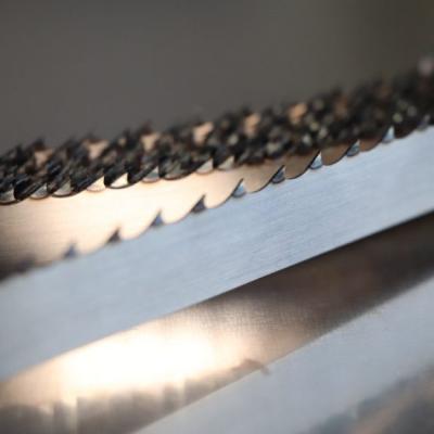 Et Kemik Serit Testre